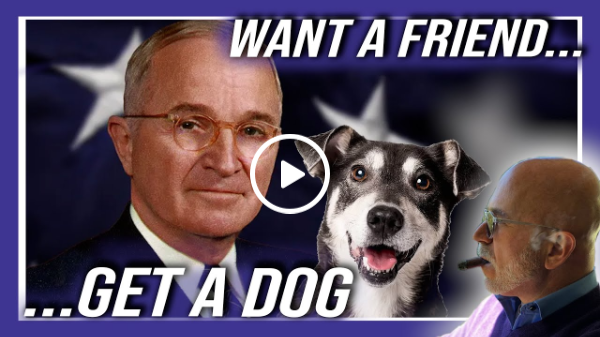 Want a #friend? Get a #dog!