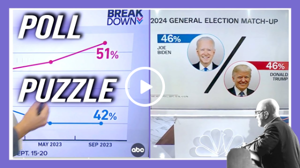 Conflicting Poll Results about Joe Biden and Donald Trump  #news #politics #america